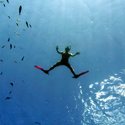 Pa - Shore Snorkeling Tour